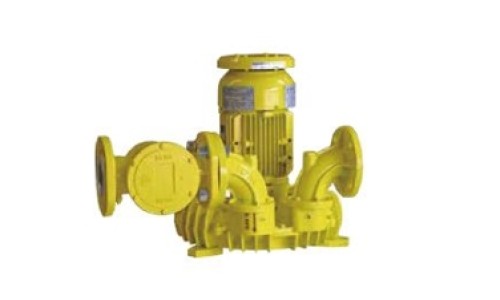 Biogas Blower