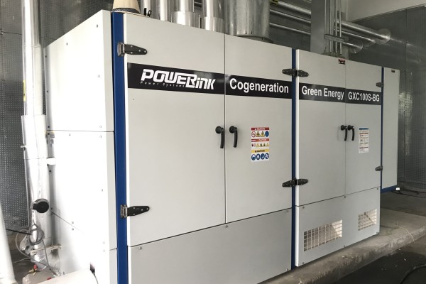 100KW Biogas Power Cogeneration Project