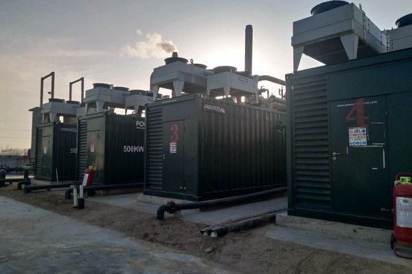 2MW Biogas Power and Heat Cogeneration Project